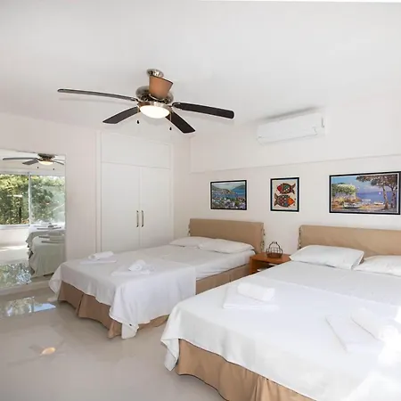 Διαμέρισμα Amazing House Inside A Forest With Shared Pool In Bodrum, Mugla