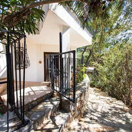 Amazing House Inside A Forest With Shared Pool In Bodrum, Mugla Lejlighed *